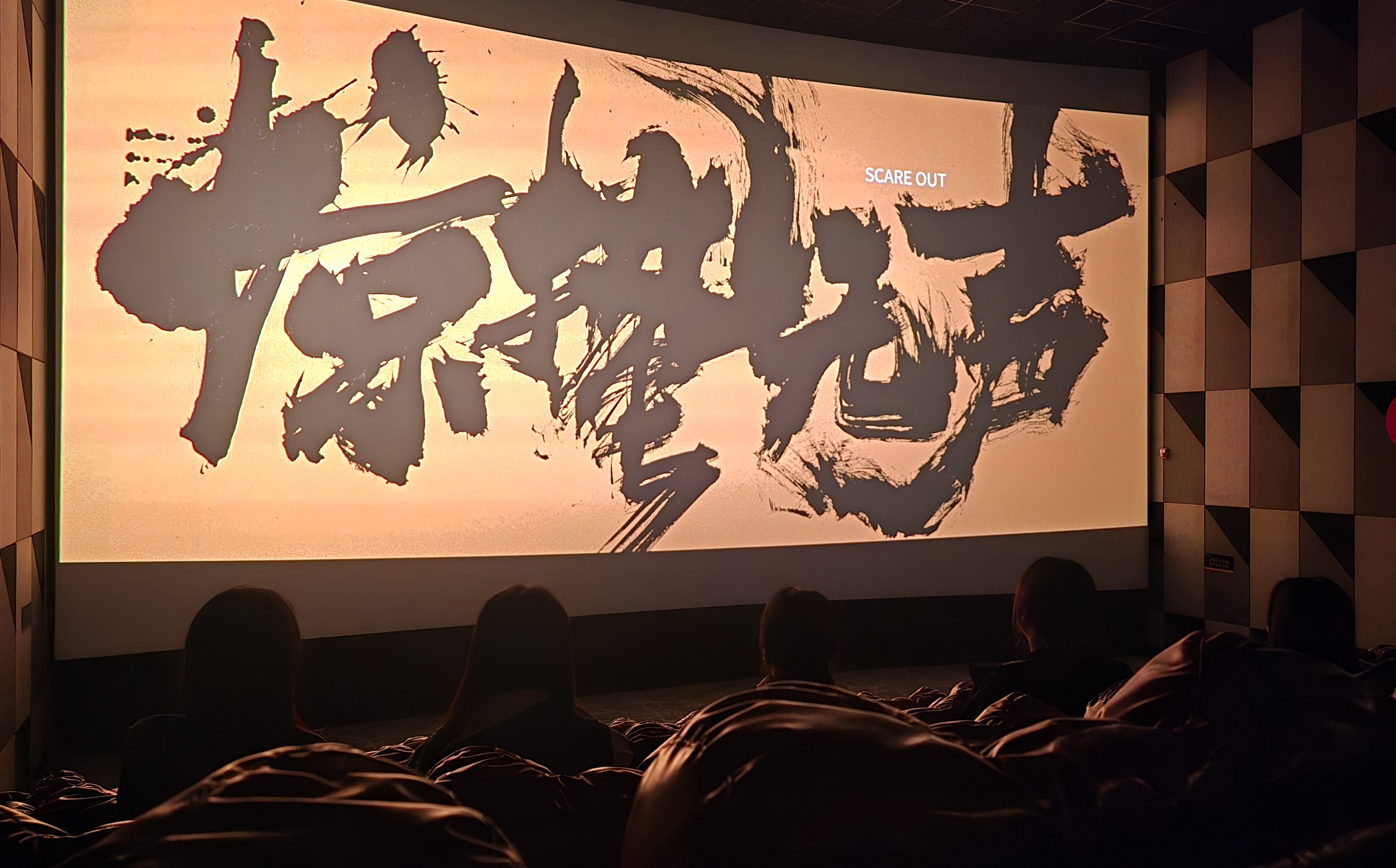 照片2